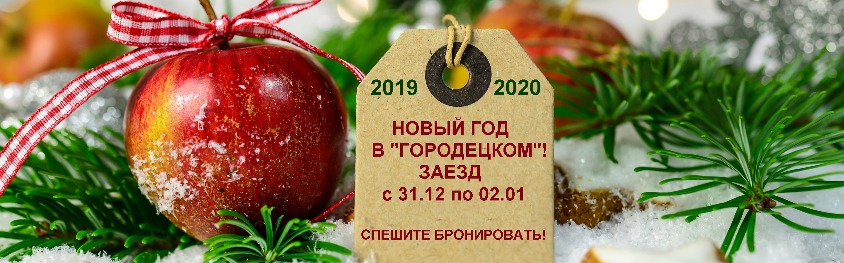 Где Отметить Новый Год В Нижегородской Области Где Отметить Новый Год В Нижегородской Области